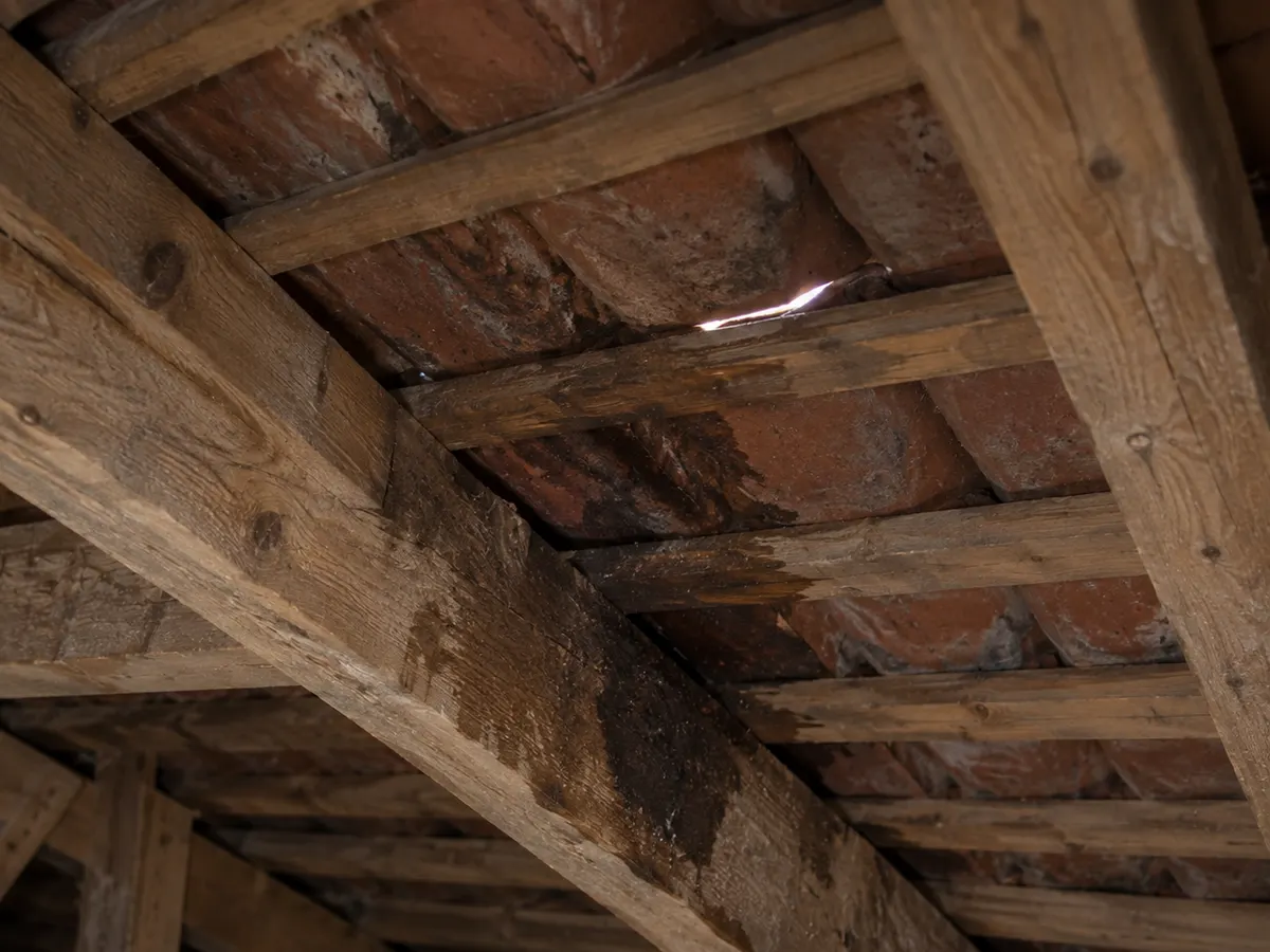 Sous-face de toiture vue depuis le comble : charpente apparente et filet de lumière passant entre deux tuiles