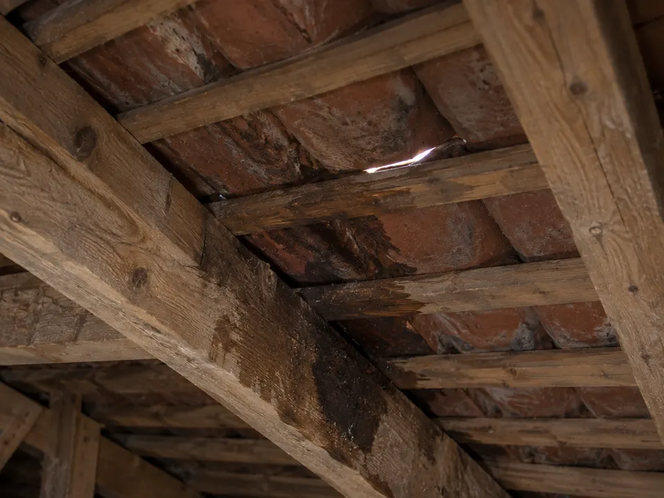 Sous-face de toiture vue depuis le comble : charpente apparente et filet de lumière passant entre deux tuiles